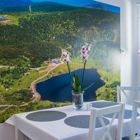 Apartament Ski Sudety Ковари Екстер'єр фото